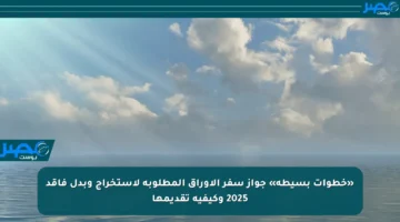 «خطوات بسيطة» جواز سفر الأوراق المطلوبة لاستخراج وبدل فاقد 2025 وكيفية تقديمها